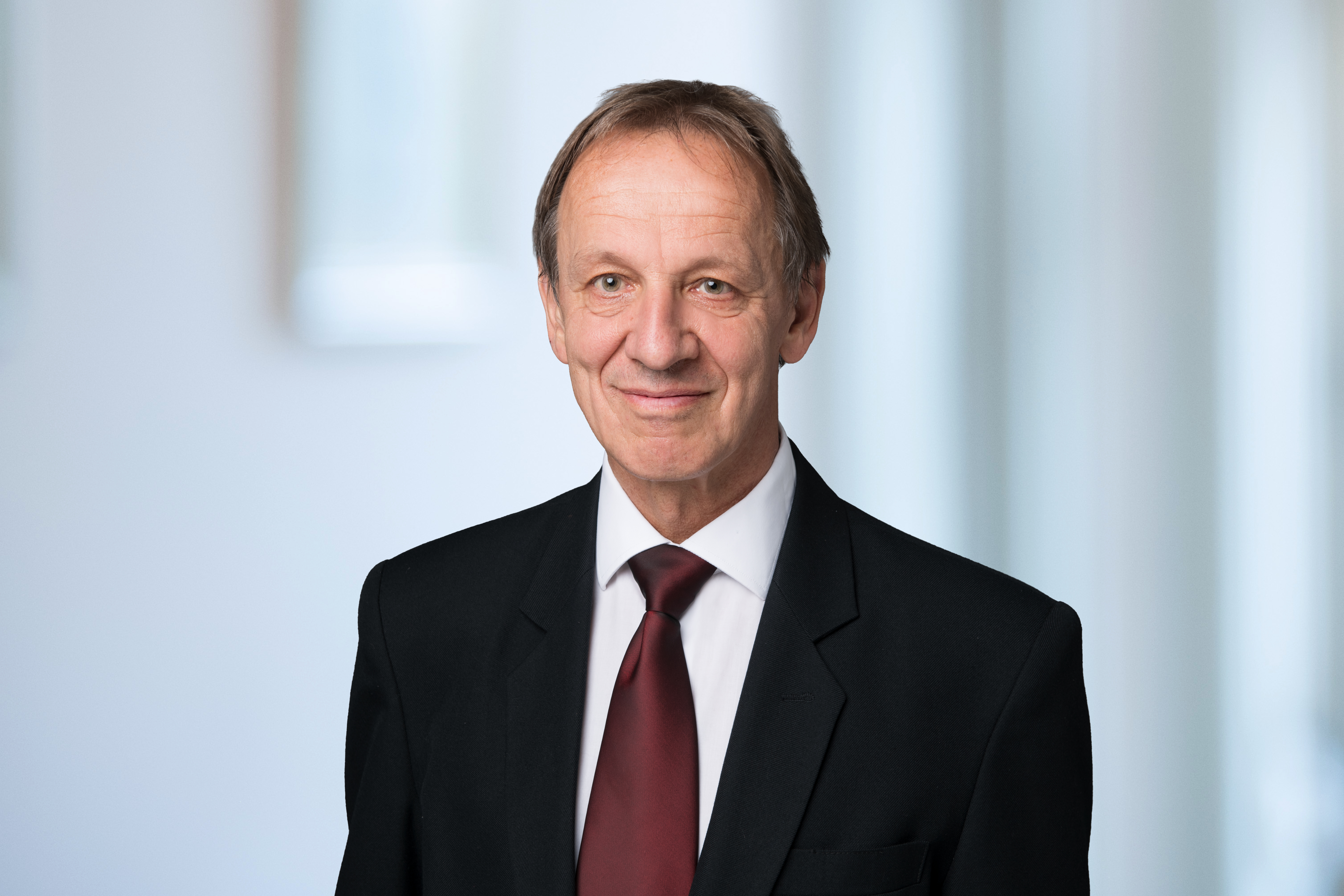 Hans-Peter Hubmann Senior Consultant